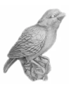 Statue oiseau -1543- - 1