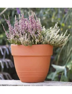 Vase universel - D40 - 1