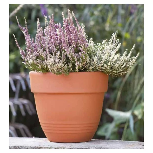 Vase universel - D40 - 1