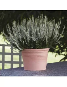 Vase cylindre - D40 - 1