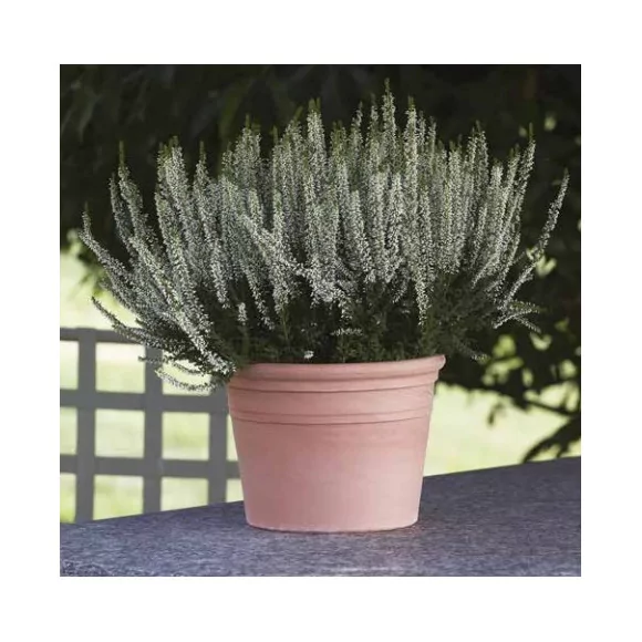 Vase cylindre - D45 - 1