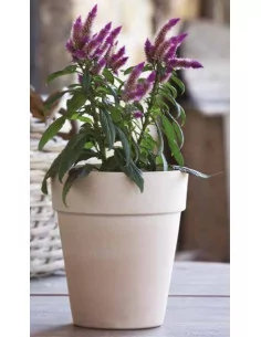 Vase standard haut - D25 - 1