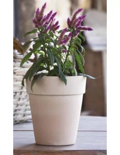 Vase standard haut - D39 - 1