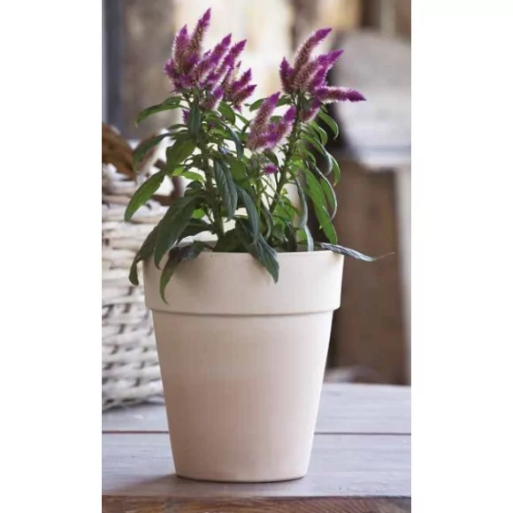 Vase standard haut - D39 - 1