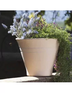 Vase camelia - D38 - 1