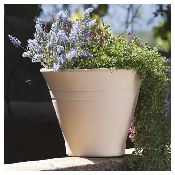 Vase camelia - D38 - 1