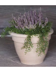 Vase campana - D32 - 1