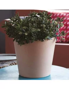 Vase conique - D40 - 1