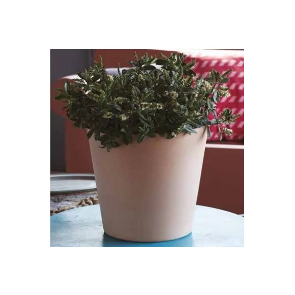 Vase conique - D40 - 1