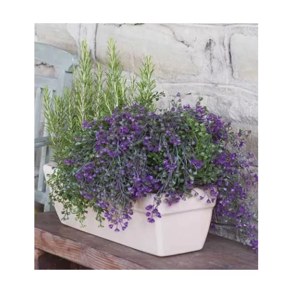 Jardinière Cicci - L49,5 - 1