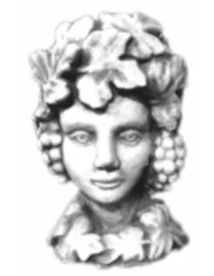 Tête d'enfant raisin - 1