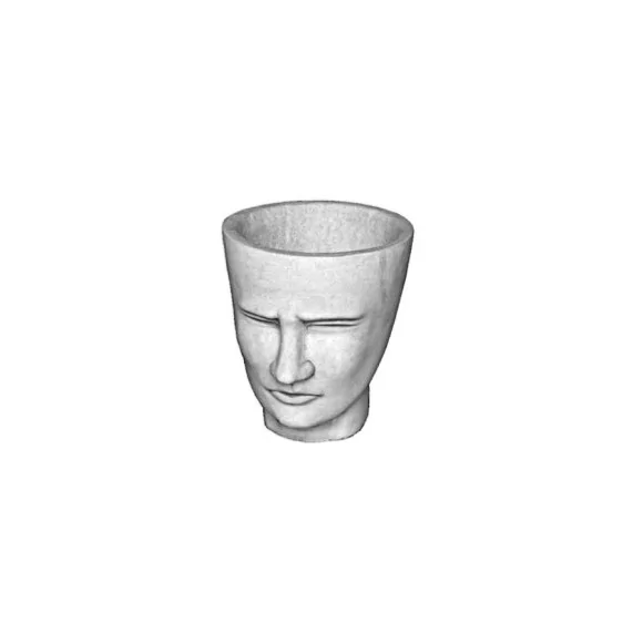 Vase Visage - 1