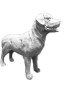 Statue chien labrador - 1