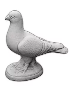 Statue pigeon - 1