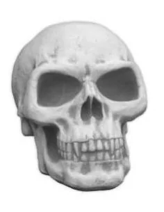 Statue tête de mort - 1