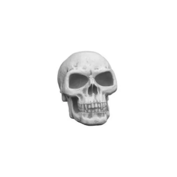 Statue tête de mort - 1